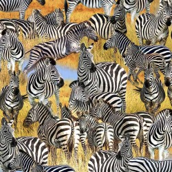 Serengeti Plains Savanna Dazzle Black/White Yardage