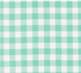 Coriander Colors Gingham Checks and Plaids Aqua Fabric