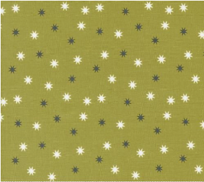 Hey Boo Magic Stars Blenders Witchy Green Fabric