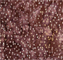 Expressions Batiks Express Yourself! Ombre Wistful Mauve Yardage
