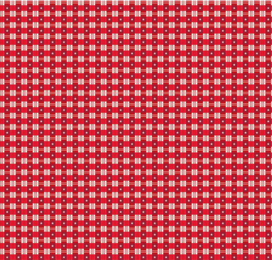 Christmas Wishes Star Plaid Red Fabric