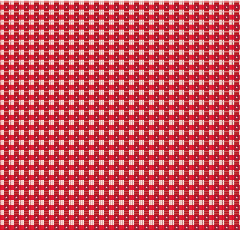 Christmas Wishes Star Plaid Red Fabric