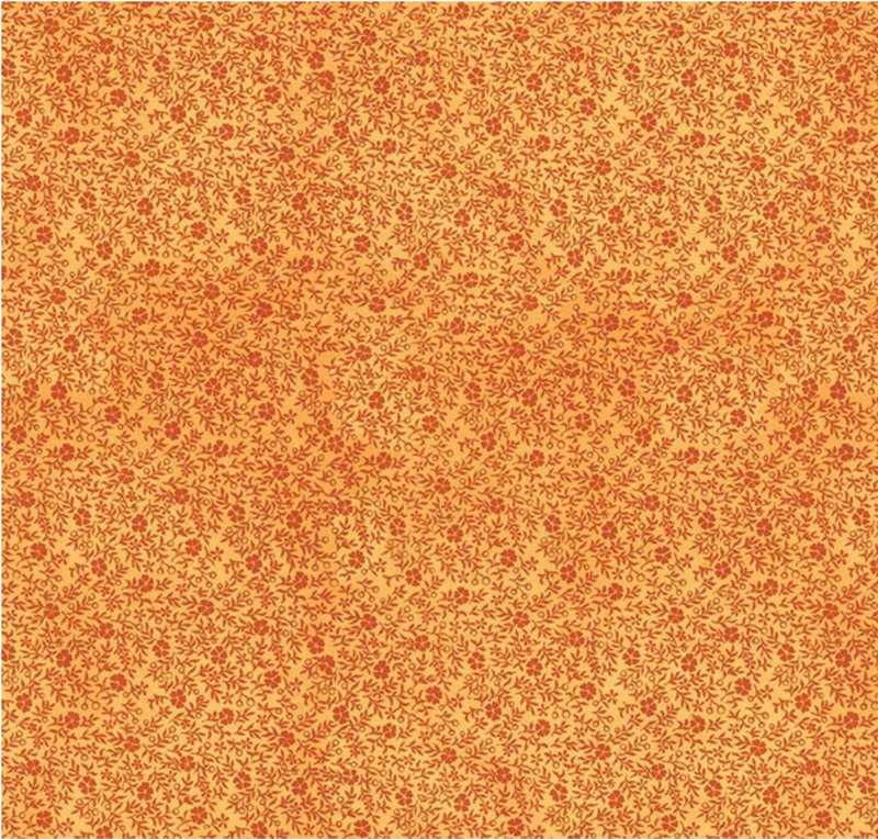 Pumpkin Patch Inside Clover Orange Fabric