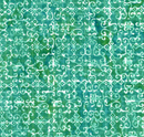 Expressions Batiks Sassy and Tweet Aquamarine