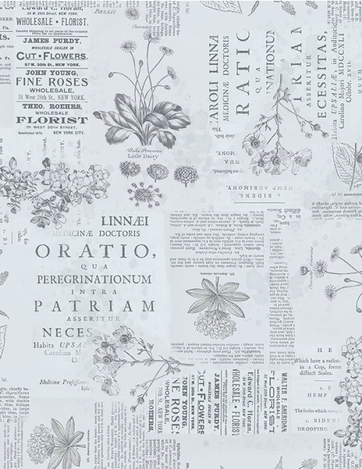 Garden Grace Floral Monograph Blue Yardage