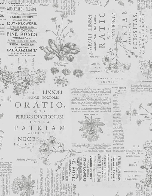 Garden Grace Floral Monograph Grey Yardage