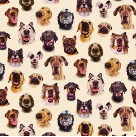 Follow Your Nose Dog Faces Cream Yardage