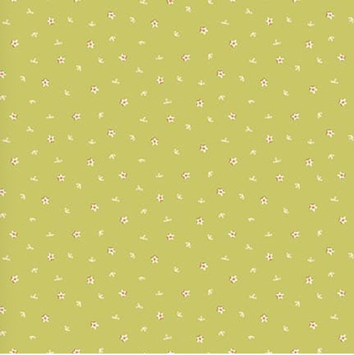 SIMPLYBE 3321-66 Green Yardage