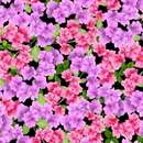 Flower Splendor AZALEA DCX10532-BLAC-D yardage