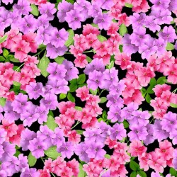 Flower Splendor AZALEA DCX10532-BLAC-D yardage
