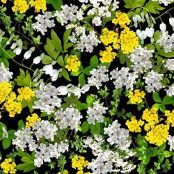 Flower Splendor FRESH SPRIGS DCX10529-BLAC-D yardage