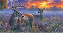 New Beginnings Wild Enchantment 24"x42" Panel