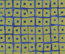 Stenographer's Notebook Block Pistachio Fabric