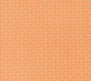 Agatha Road Scallops Blenders Pumpkin Fabric