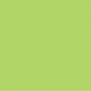 Confetti Cotton™ Wasabi Fabric