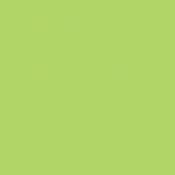 Confetti Cotton™ Wasabi Fabric