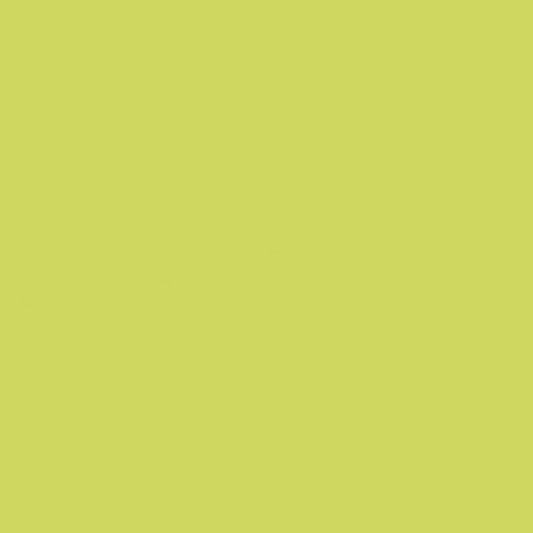 Confetti Cotton™ Kiwi Fabric