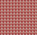 Emma Woodhouse Fabric