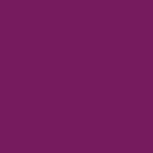 Confetti Cotton™ Boysenberry Fabric