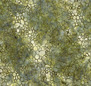 Batiks Hand Dyes Plant-Based Khaki 2 Fabric
