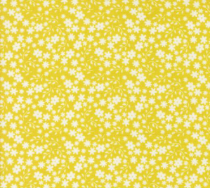 Raspberry Summer Summer 37693 16 Fabric