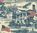 America 250 TOILE NAVY-BEIGE
