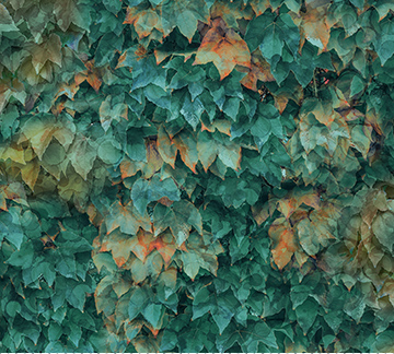 Autumn Breeze LAYERED LEAVES TEAL