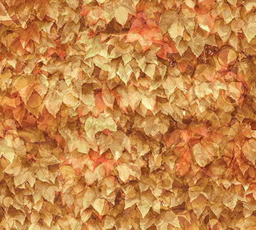 Autumn Breeze LAYERED LEAVES LT RUST