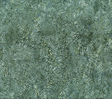 Changes in Season Pine Needles EVERGREEN