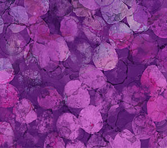 Concerto DOTS PURPLE