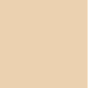Essential Solid Dark Cream Fabric