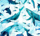 Deep Blue WHALES 1 Fabric