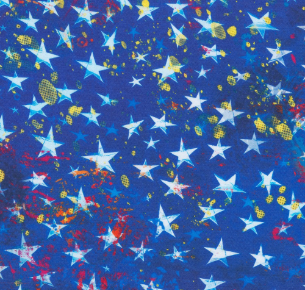 Land of the Free SRKD-22764-4 Blue Fabric