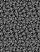 Shadow Blooms - Small Floral Black - Yardage