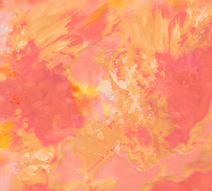 LIGHT OF THE WORLD 2600 31247 C 15O SALMON Fabric