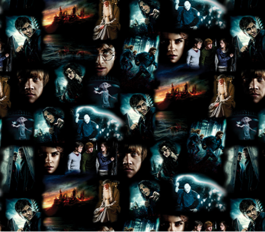 Harry Potter 2nd Edition - Harry Potter Moments - Black - Yardage