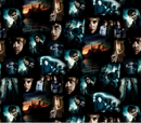 Harry Potter 2nd Edition - Harry Potter Moments - Black - Yardage