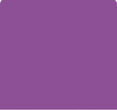 Bella Solids Vivid Violet