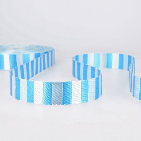 Stephanoise Poly Bicolor 1" Steel Blue Webbing