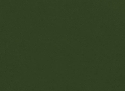 Quilting Cuddle Solid Cactus Yardage