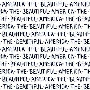All American America the Beautiful Indigo Yardage