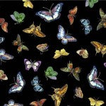 Botanical Garden Bright Butterflies Black Fabric