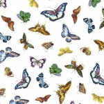 Botanical Garden Bright Butterflies White Fabric