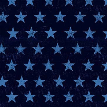 Route 66 Rugged Stars Navy Fabric