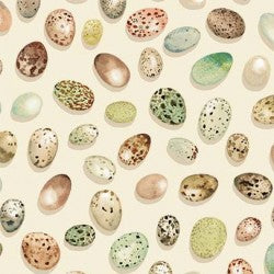 From Little Acorns BIRD EGGS DDC12422-CREM-D Fabric