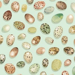 From Little Acorns BIRD EGGS DDC12422-MIST-D Fabric