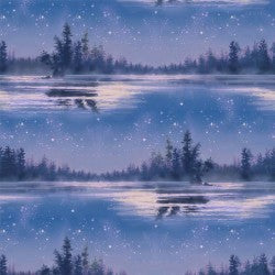 North Country Beside Still Waters DDC12449-NITE-D Fabric