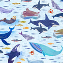 Alaska: The Last Frontier Gulf of Alaska Cloud Fabric