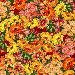 Flower Fairies of the Autumn Fairy Blooms Fabric