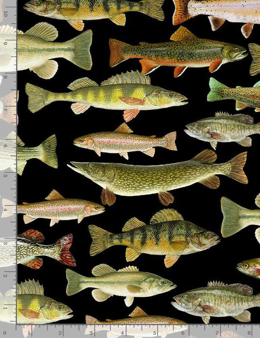 Animals - Timeless Treasures - Fish Black - Yardage